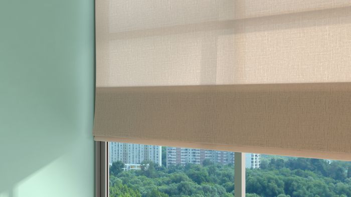 A white shade half-drawn up a window overlooking trees and apartment buildings. Late afternoon light filters in to the room's blue walls.